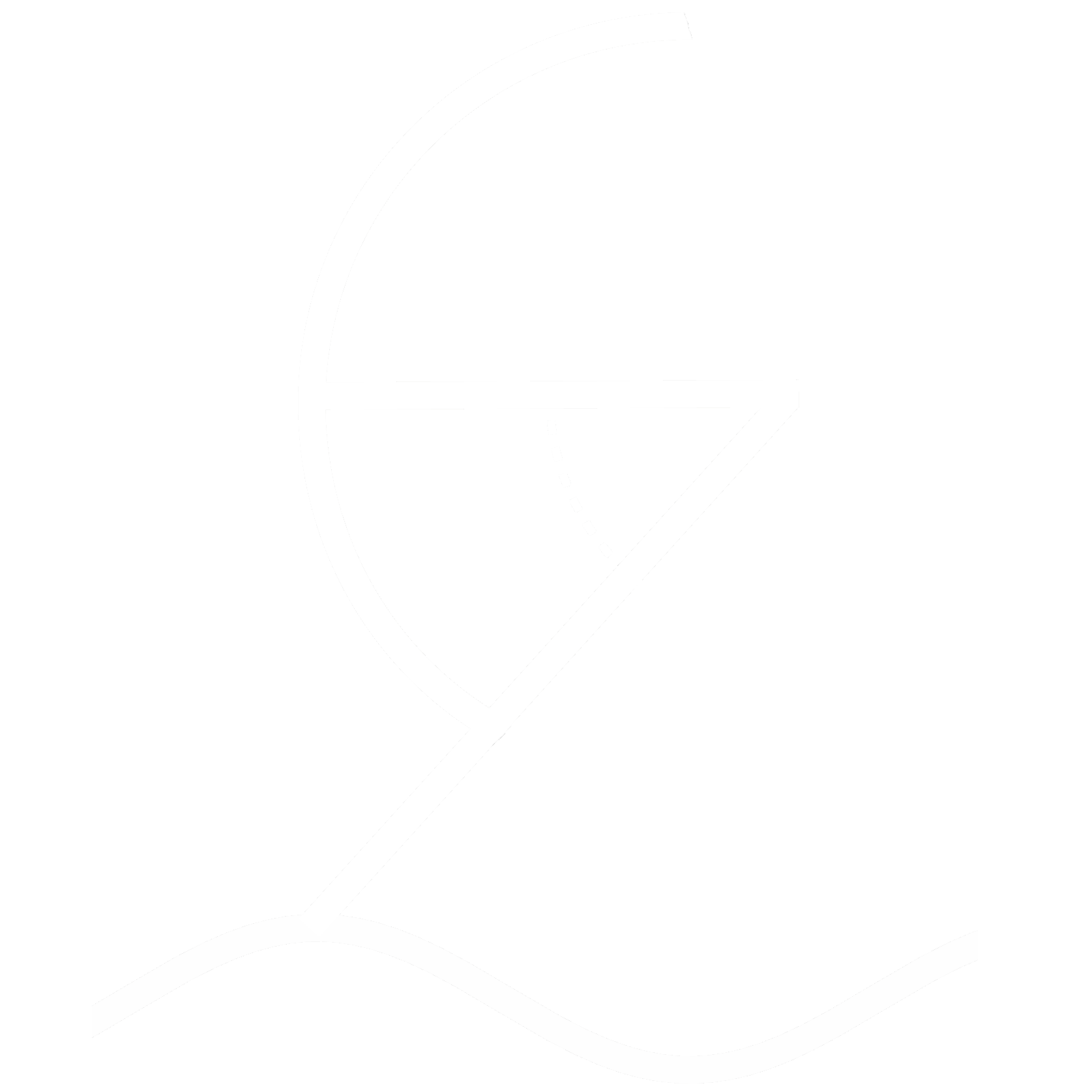 icon white transparent